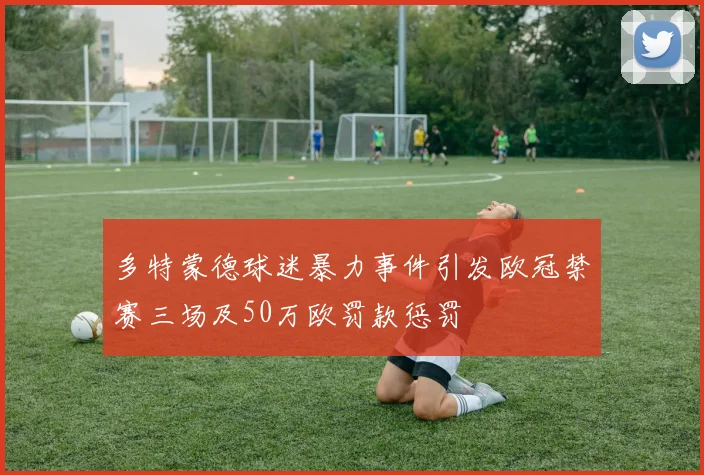 多特蒙德球迷暴力事件引发欧冠禁赛三场及50万欧罚款惩罚